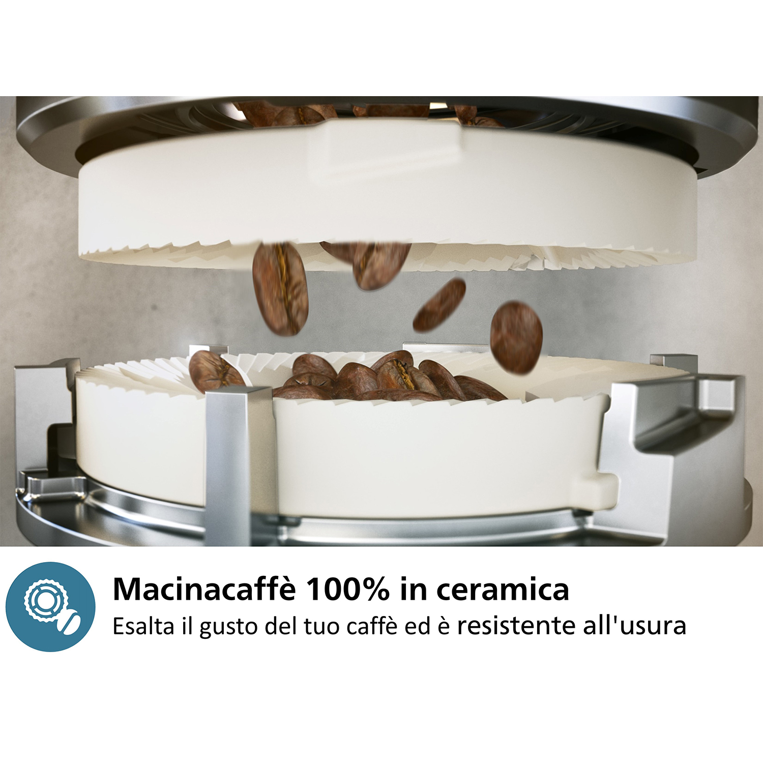 Chicchi di caffè che cadono in un macinacaffè. Il macinacaffè è bianco e i chicchi sono marroni.