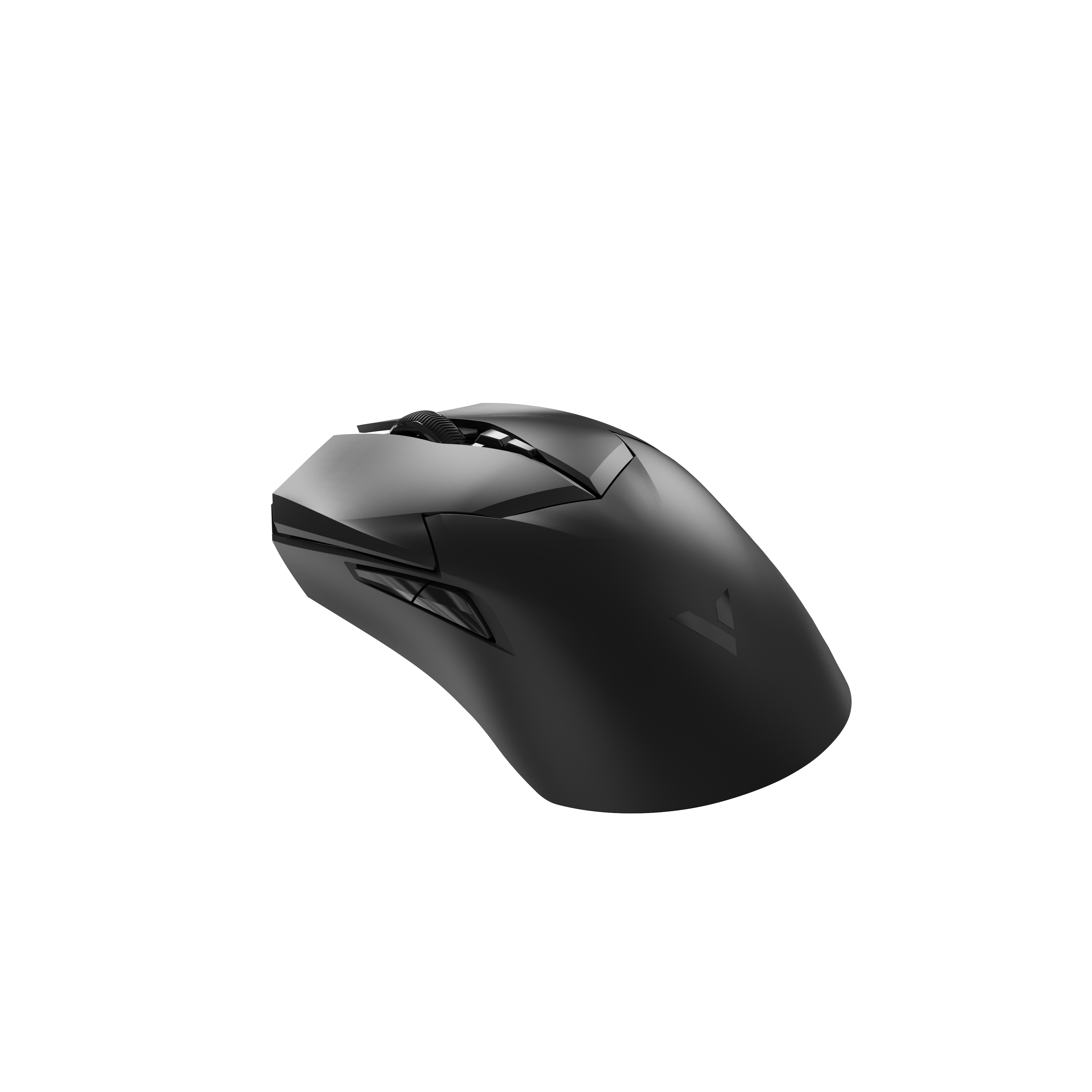 Eine schwarze Computermaus mit elegantem Design, schräge Ansicht.
