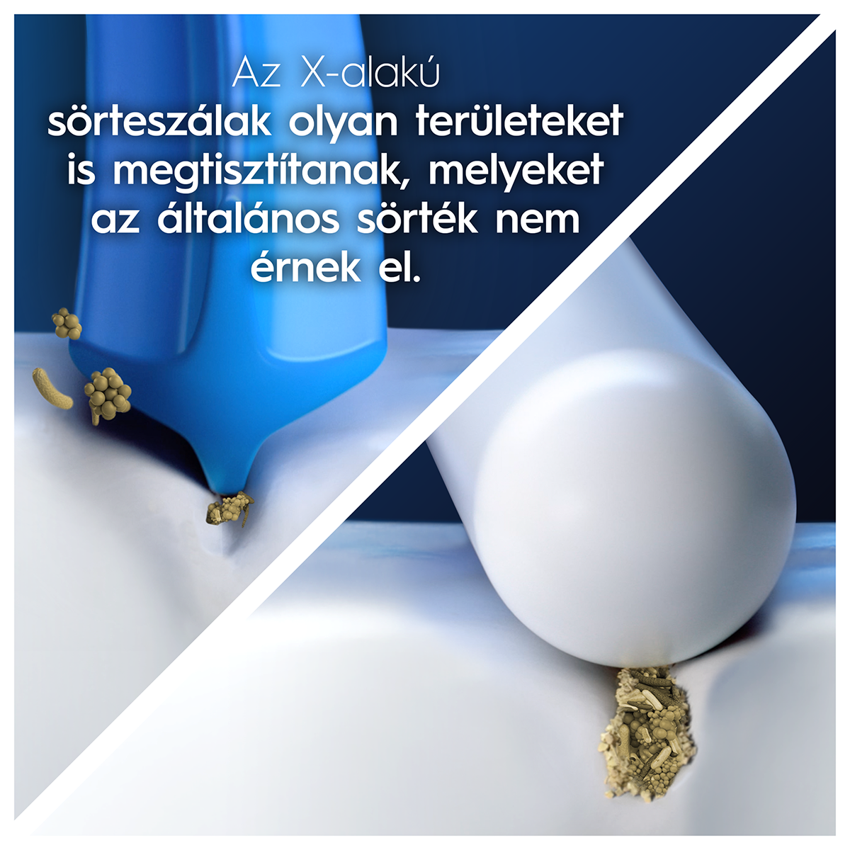 Kék-fehér fogkefefej részecskéket távolít el. A szöveg szerint a kefe nehezen elérhető területeket tisztít.