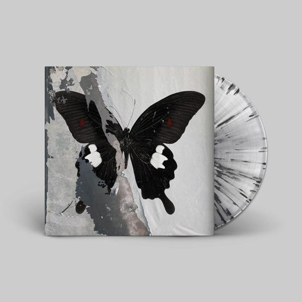Albumcover mit einem schwarzen Schmetterling auf weiß-grauem Hintergrund, mit einer silbernen Schallplatte.
