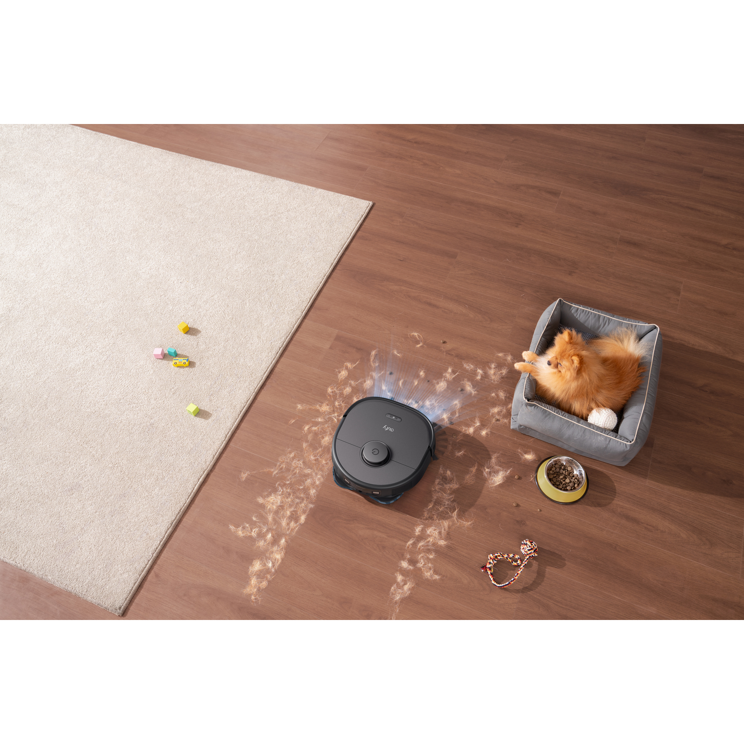 Un aspirateur robot nettoie un plancher en bois, avec un panier pour chien et un chien.