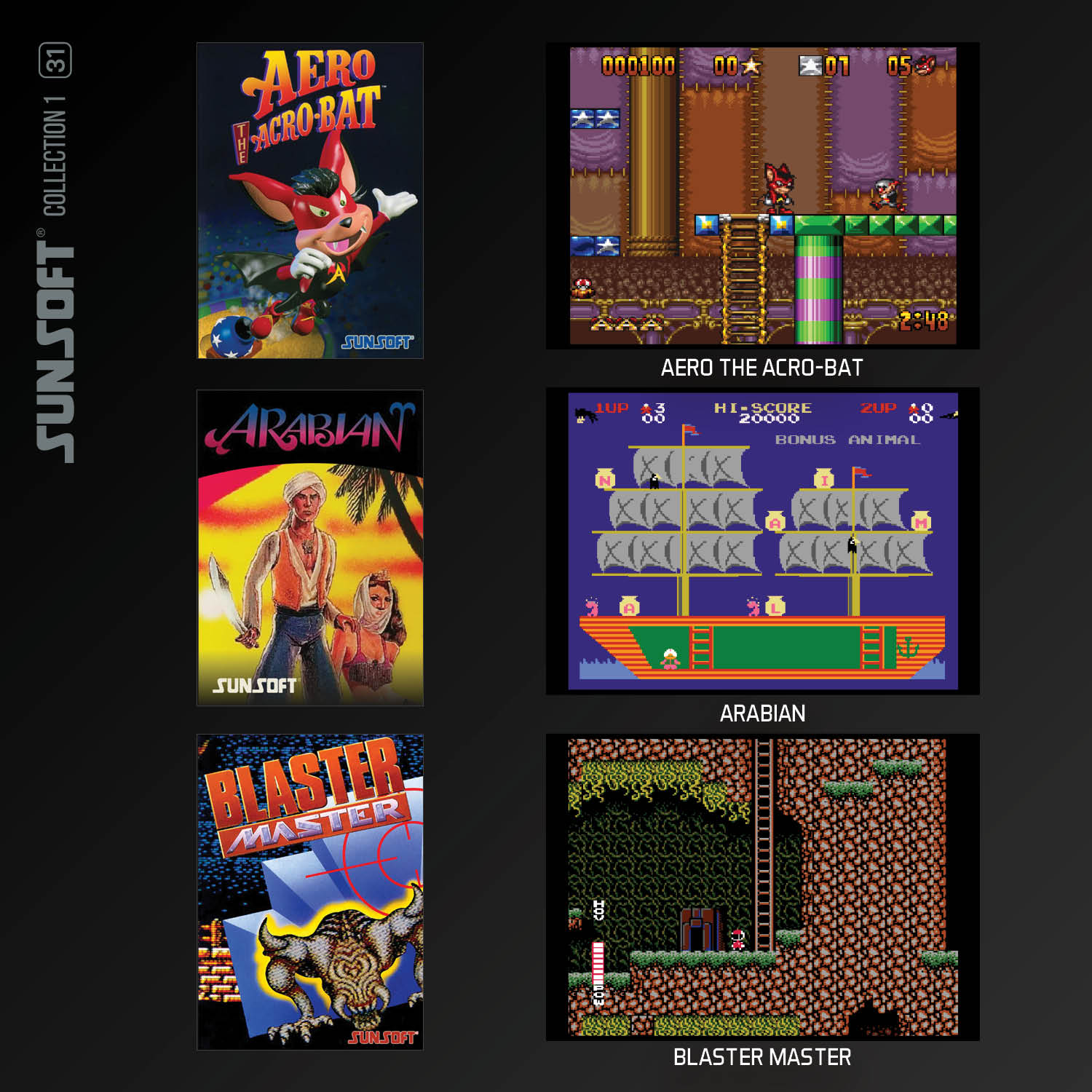 Zestaw gier Evercade Sunsoft Collection 1