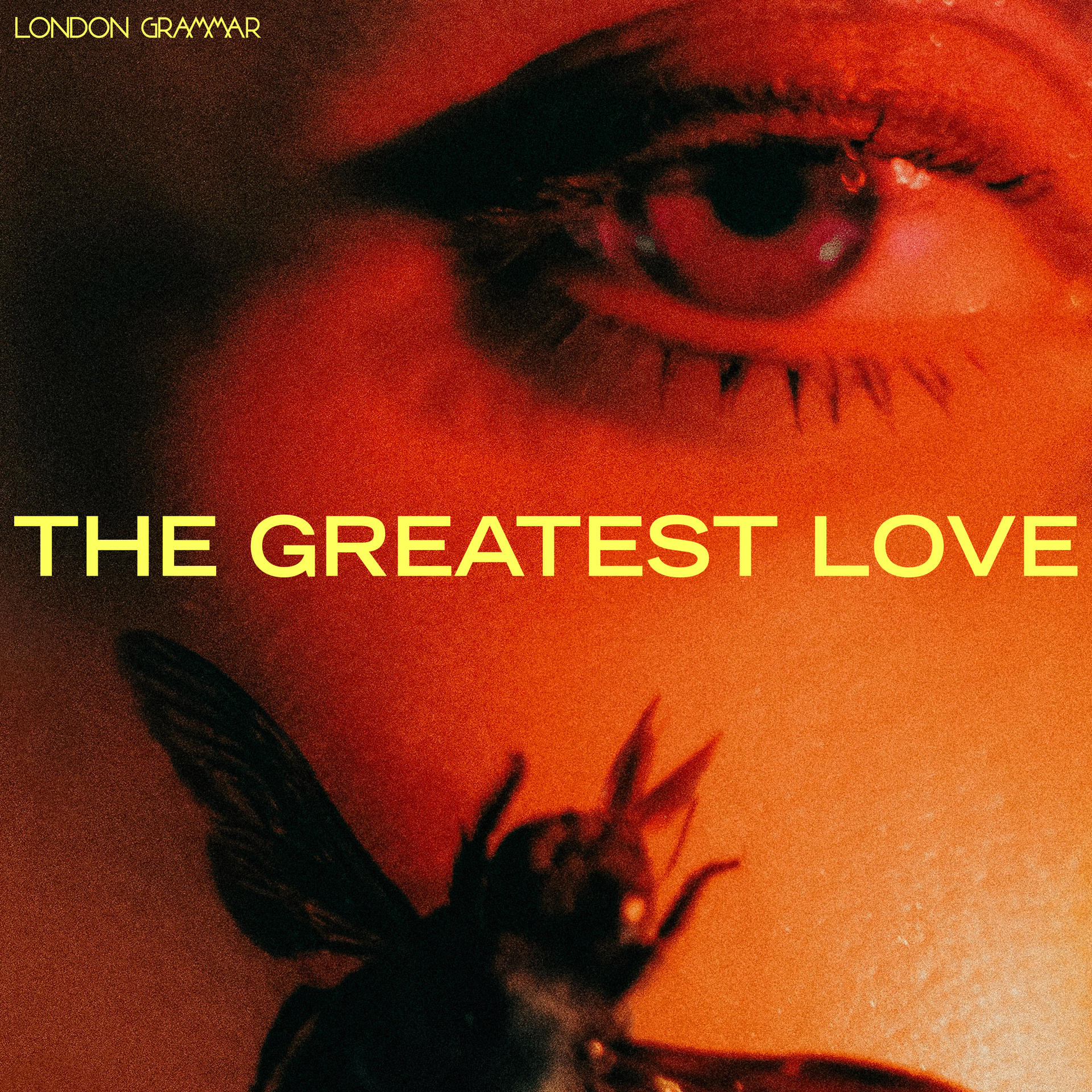 Albumcover: Nahaufnahme eines Auges, Text "THE GREATEST LOVE" und Insektenillustration.