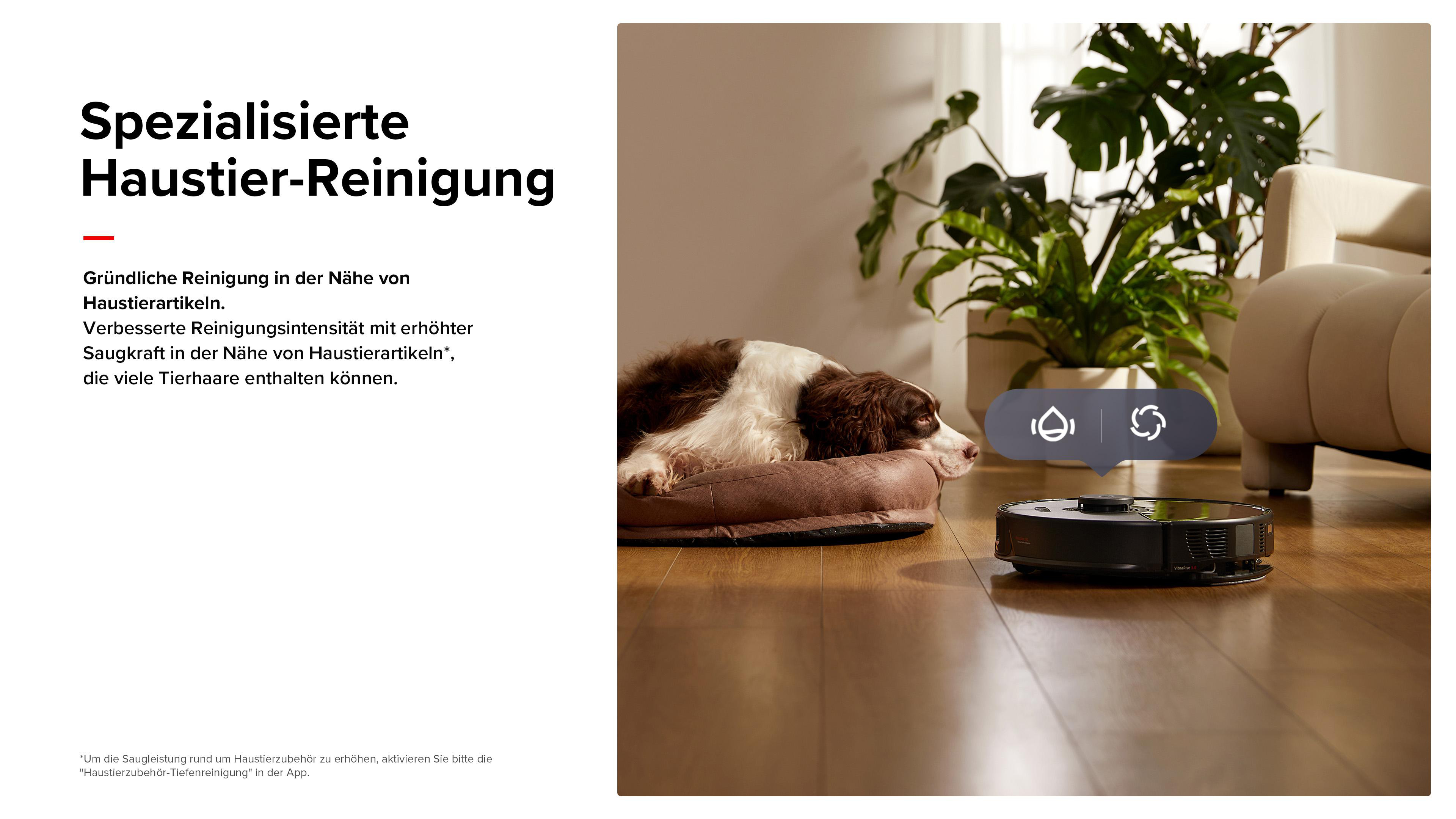 Ein braun-weißer Hund liegt auf einem braunen Bett. Ein schwarzer Staubsauger ist davor.