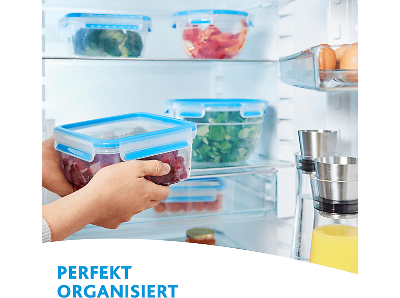 EMSA 508544 Clip & Close 2.3 l Frischhaltedose Blau/Transparent