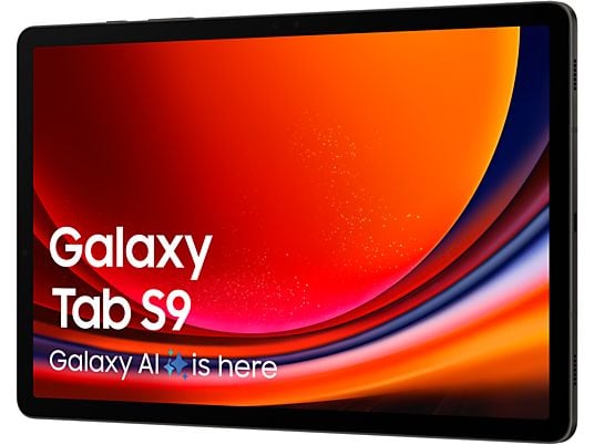 SAMSUNG Galaxy Tab S9  - 11 inch - 256 GB - Zwart - 5G