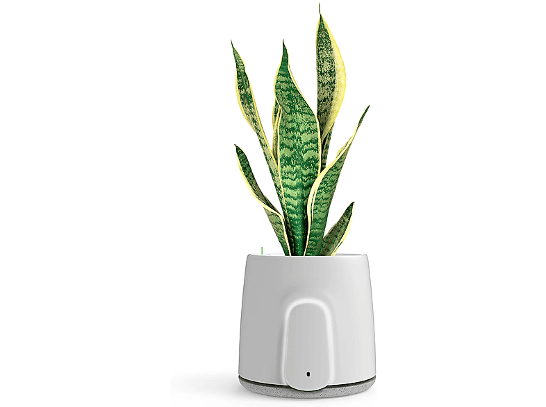 Purificatore D'aria Vitesy Natede Smart