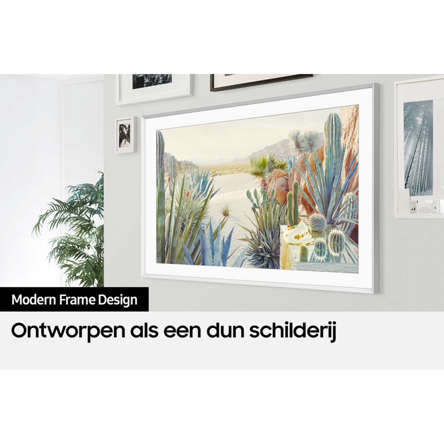 Een ingelijst kunstwerk aan een muur, woestijnlandschap met cactussen. Andere lijsten ook.
