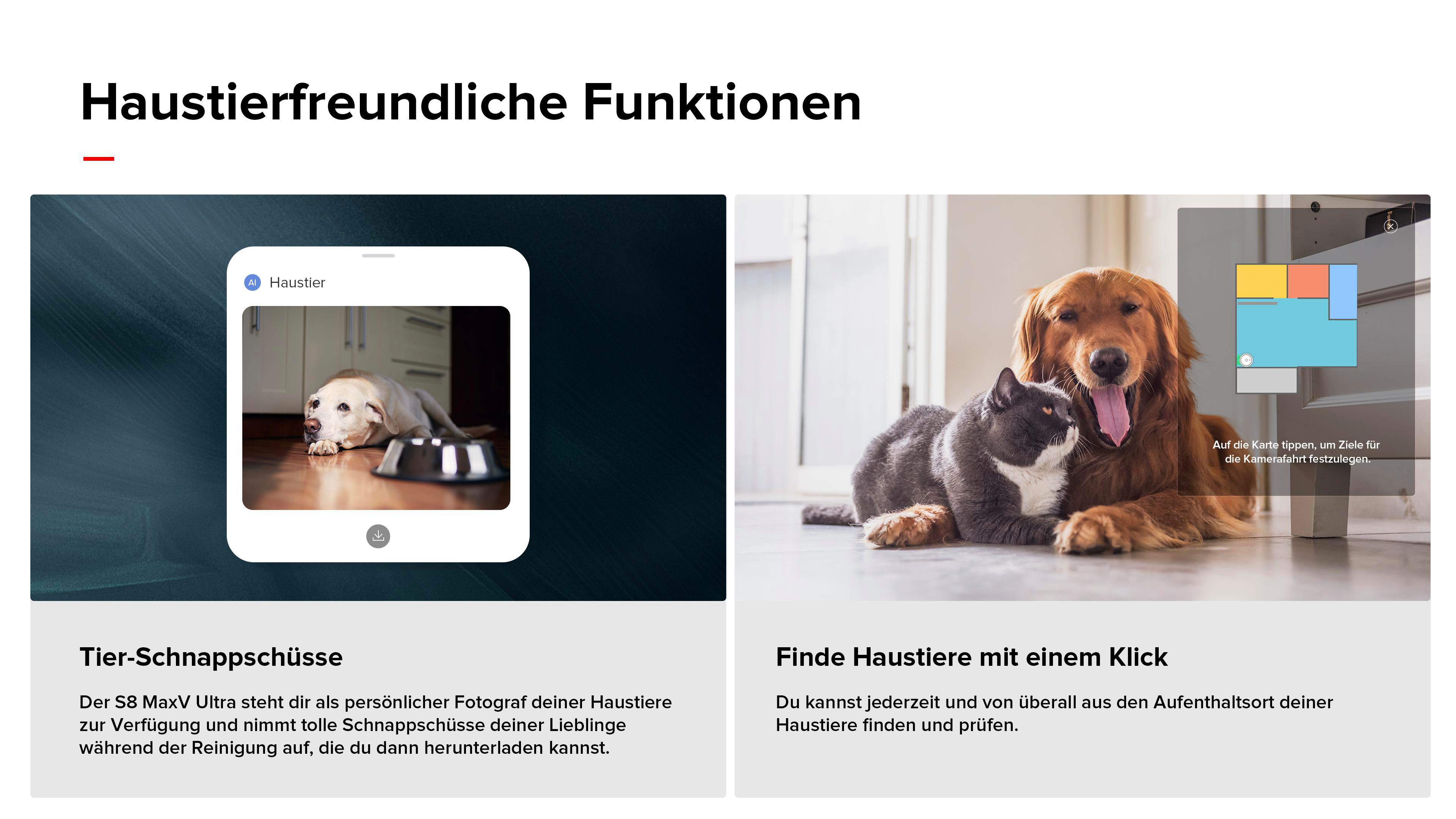 Ein Hund und eine Katze zusammen mit einem Telefon, das ein Bild eines Hundes an einer Schüssel zeigt.