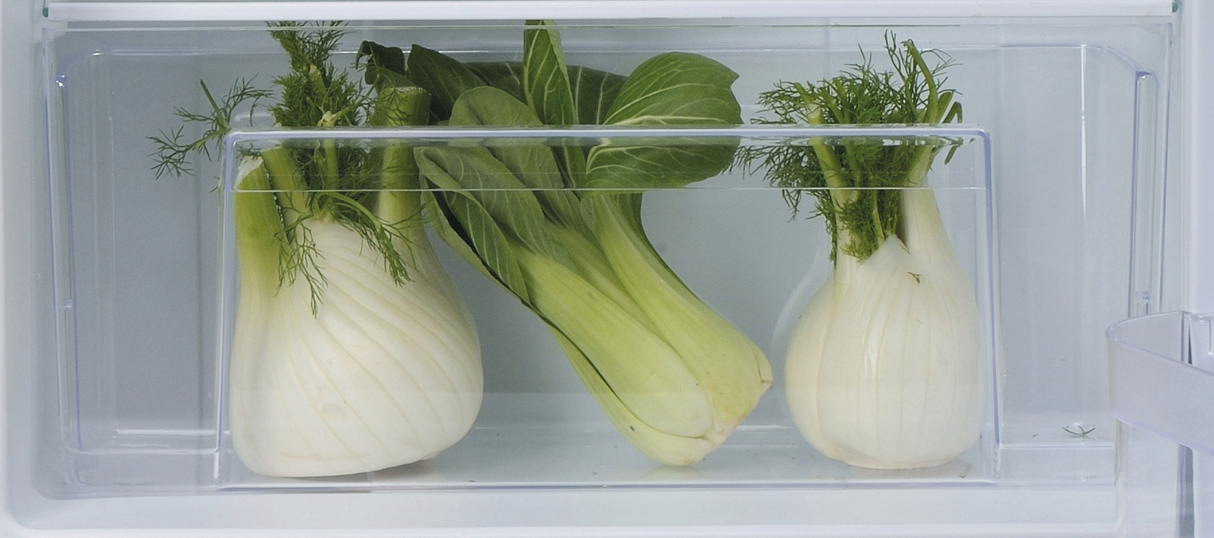 Kühlschublade mit Fenchel und Pak Choi.