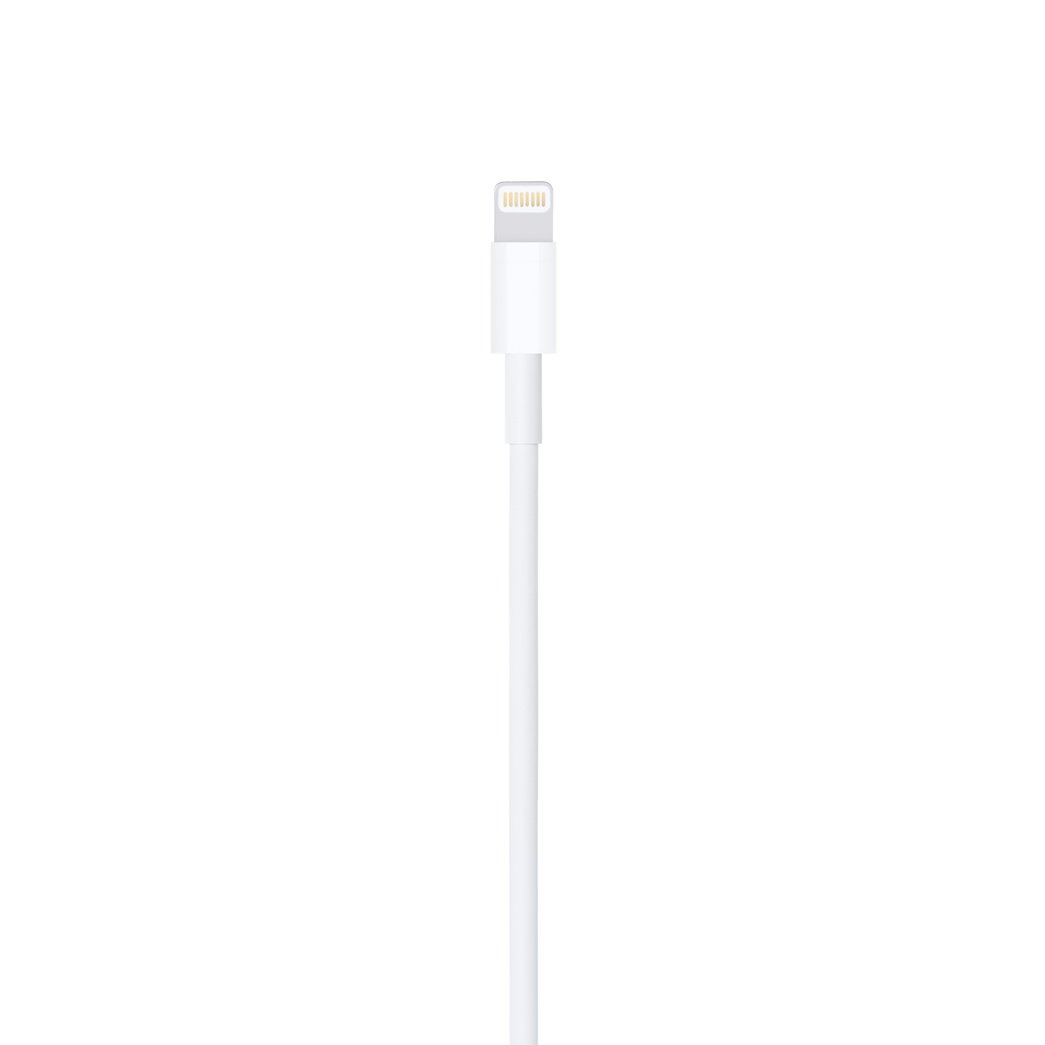 White Apple Lightning to USB cable, against a white background, from top to bottom.