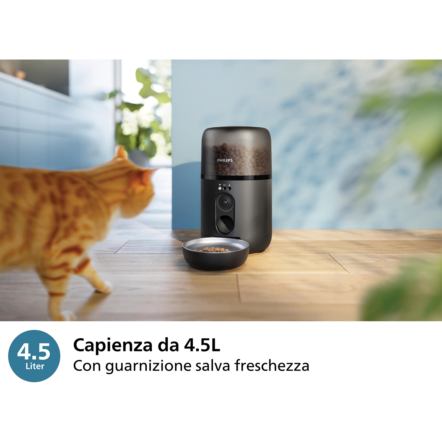 Mangiatoia nera per animali domestici con un gatto che si avvicina. Cibo e testo presenti.