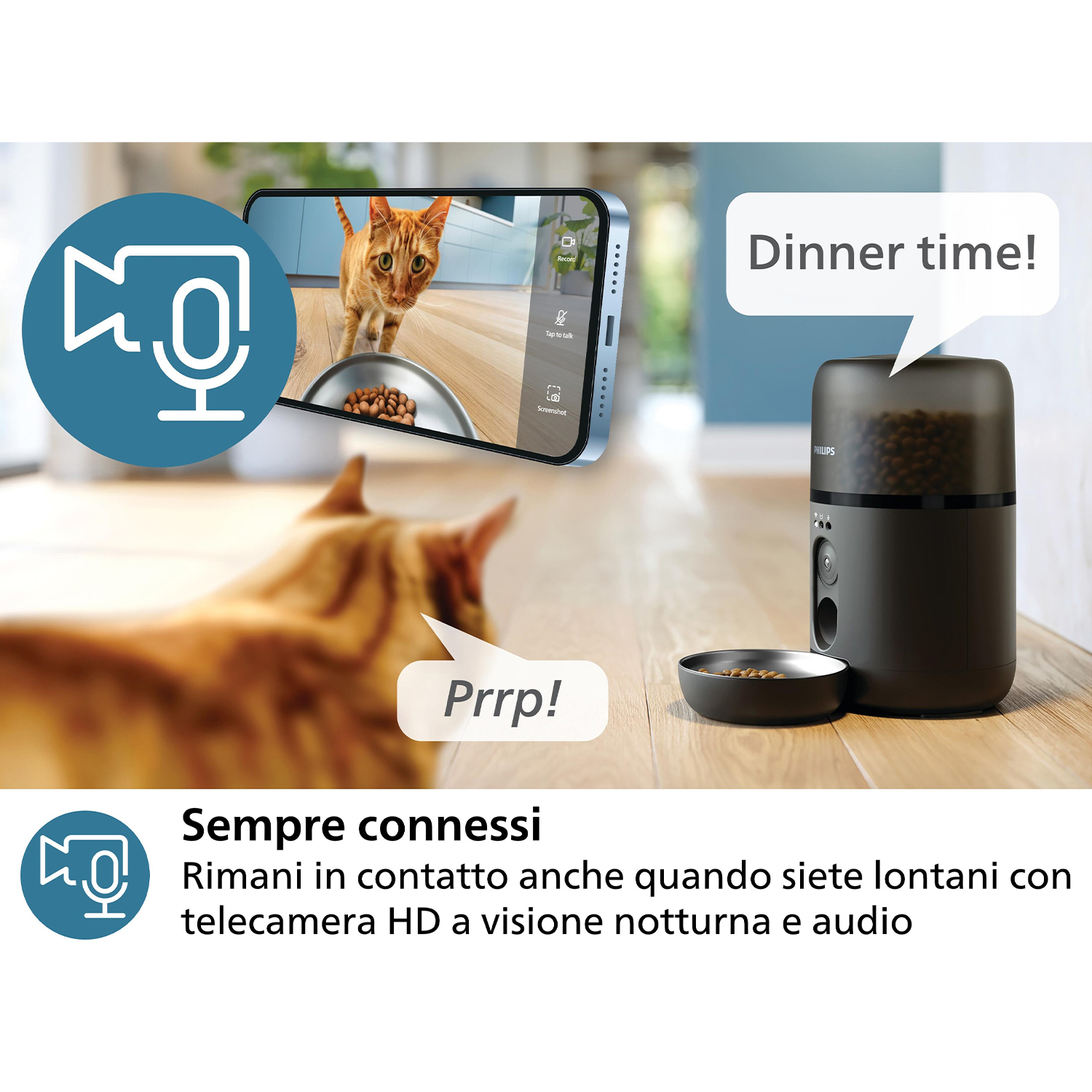Un gatto guarda il cibo in una ciotola. Un telefono mostra il gatto, un alimentatore è nella scena.