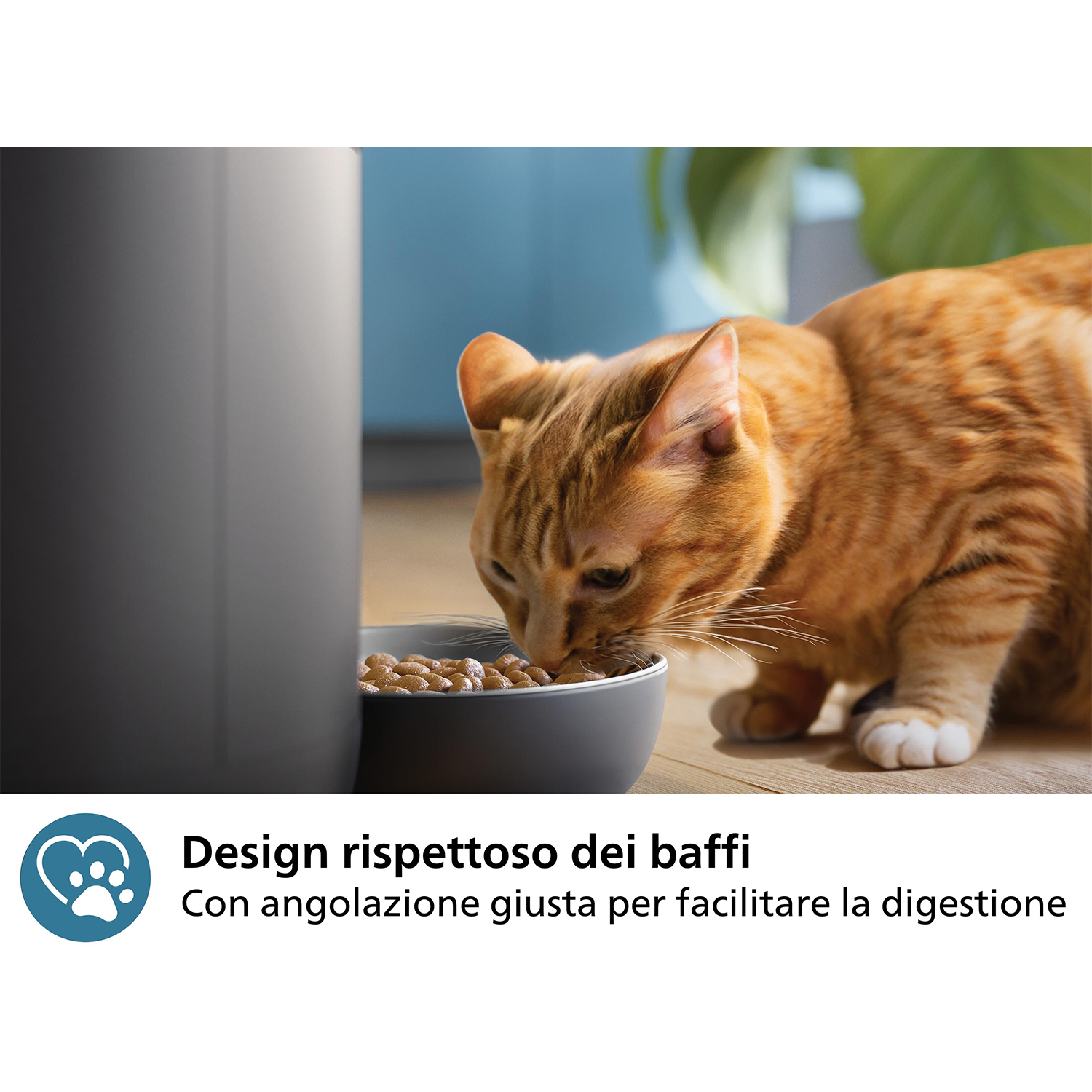 Un gatto arancione che mangia da una ciotola grigia, accanto a un distributore di cibo per animali grigio, con testo sul design.