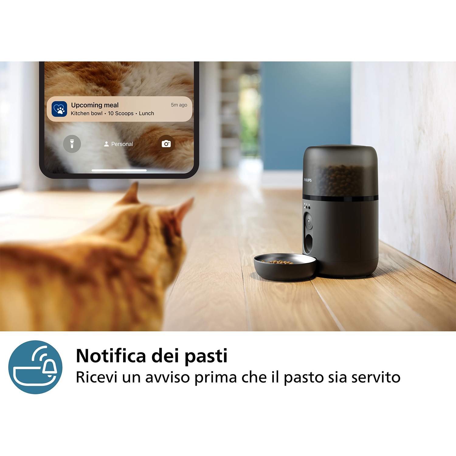 Dispenser per cibo per gatti con telefono che mostra notifica pasto in arrivo.