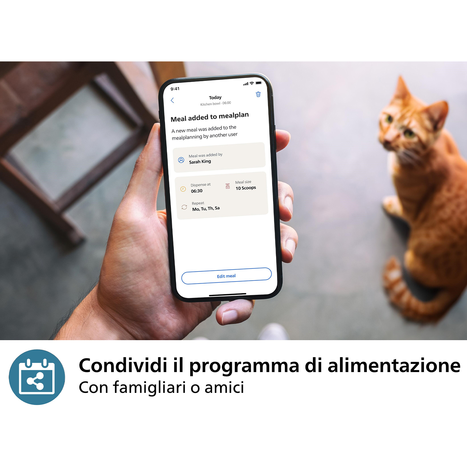 Un telefono che mostra un piano alimentare, con un gatto sullo sfondo.