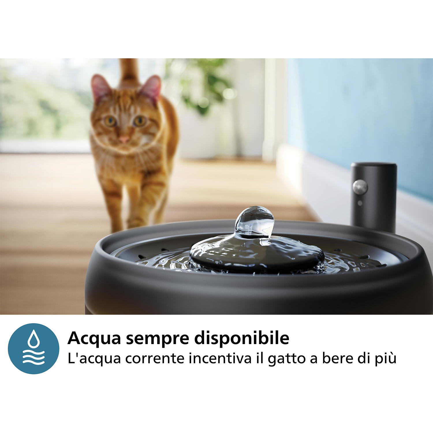 Un gatto si avvicina a una fontana per gatti. L'acqua bolle dal centro della fontana.