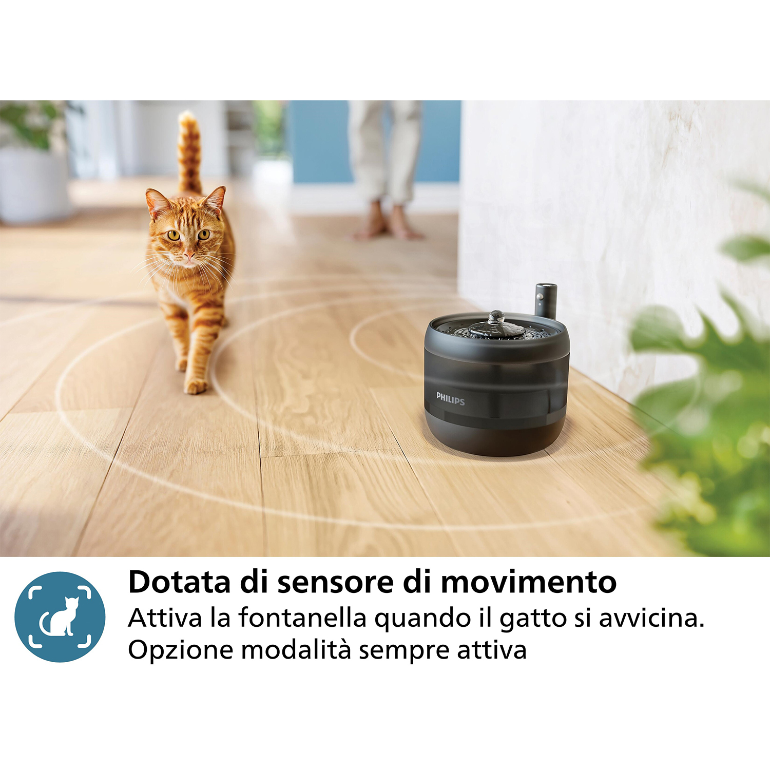 Gatto arancione che si avvicina a una fontana d'acqua nera per animali.