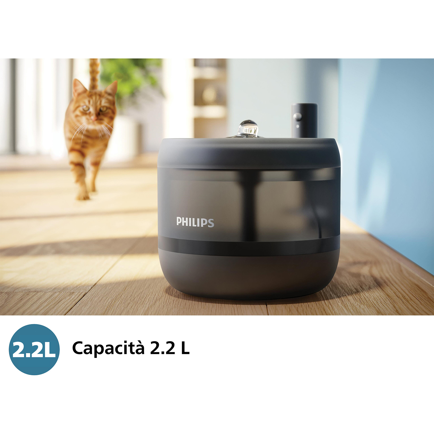 Un umidificatore nero e grigio con un gatto rosso che cammina sullo sfondo.