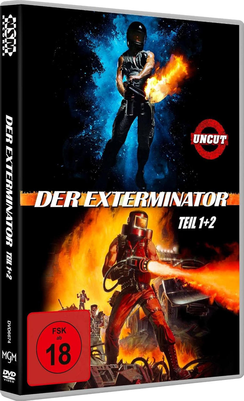 DVD-Hülle mit zwei Figuren mit Waffen und Feuer auf dem Cover.