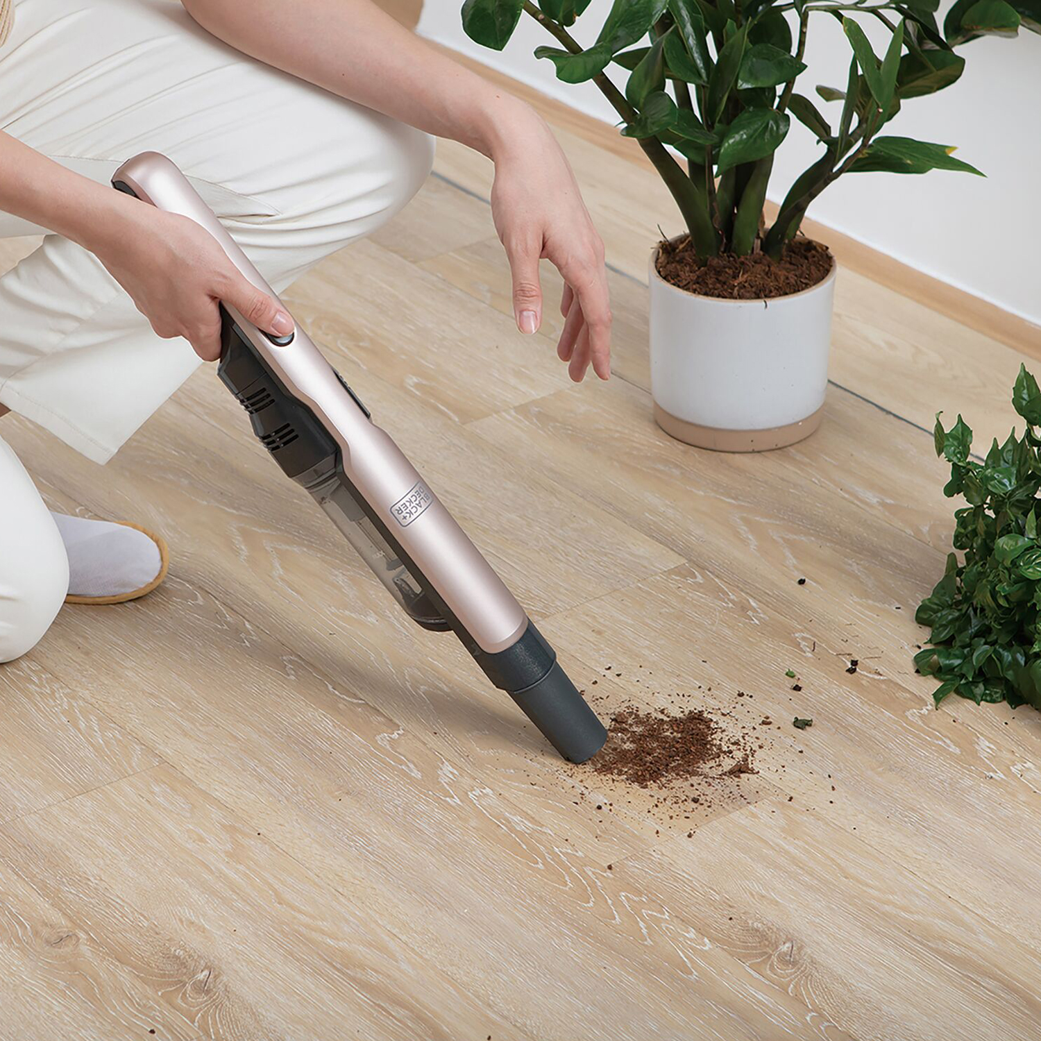 Persona che aspira un pavimento in legno. Sporco e una pianta nella scena.
