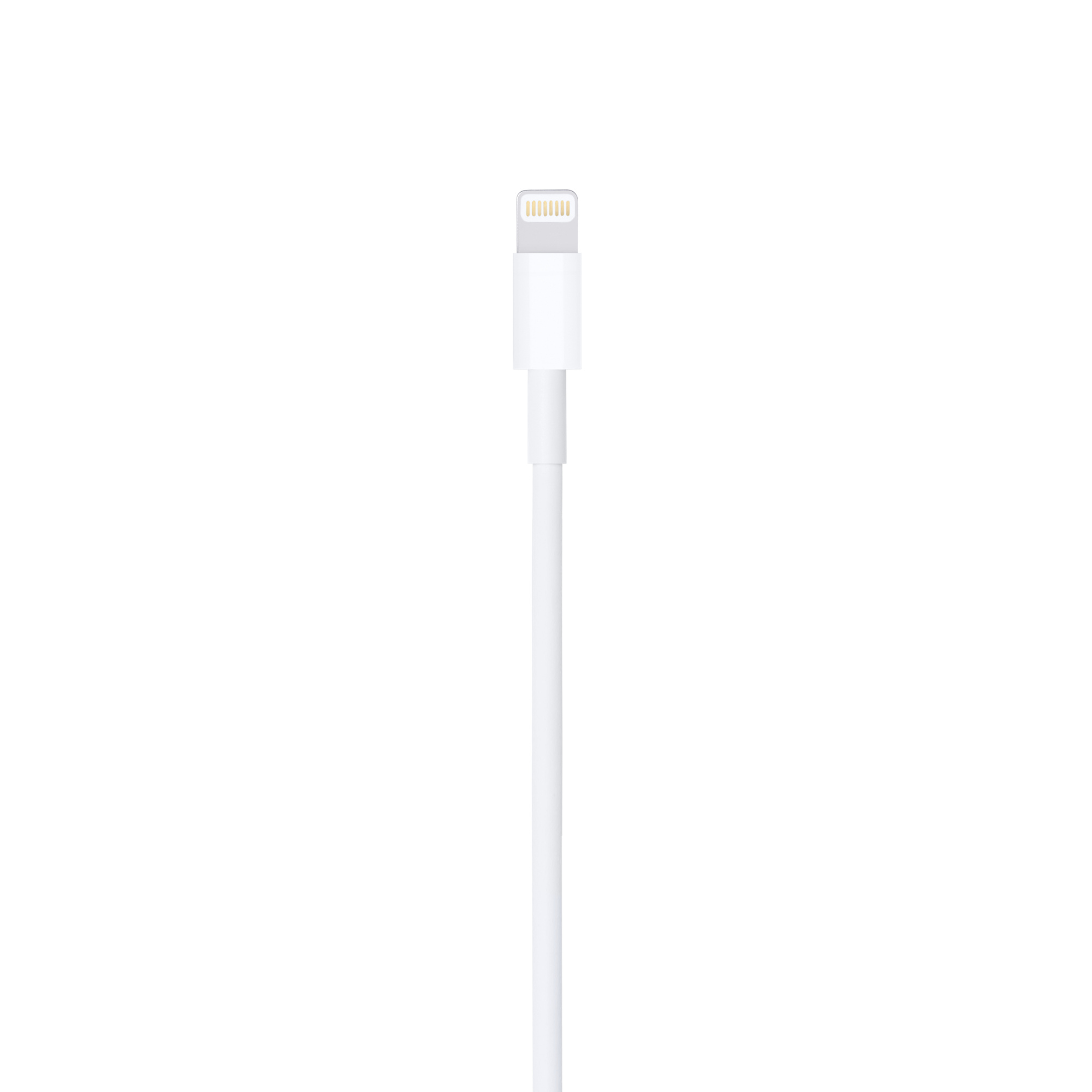 Beyaz arka planda beyaz bir Apple Lightning kablosu.