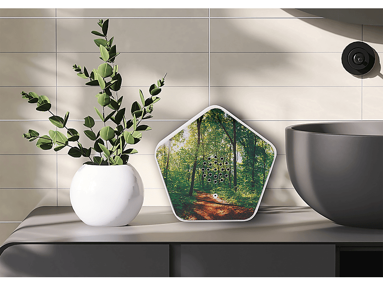 Olympia Sounds of Nature Box — Foto 2 von 4