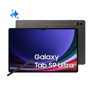 Tablet SAMSUNG Galaxy Tab S9 Ultra 12+256GB WiFi, 14.6 pollici Graphite