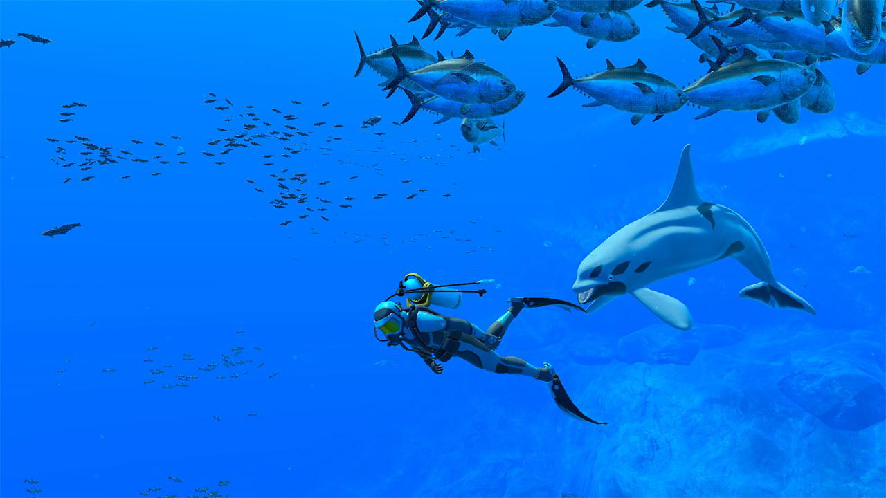 Taucher schwimmt mit Delfinen und Fischen in blauem Wasser. Viele Fische oben. Hellblaues Wasser.