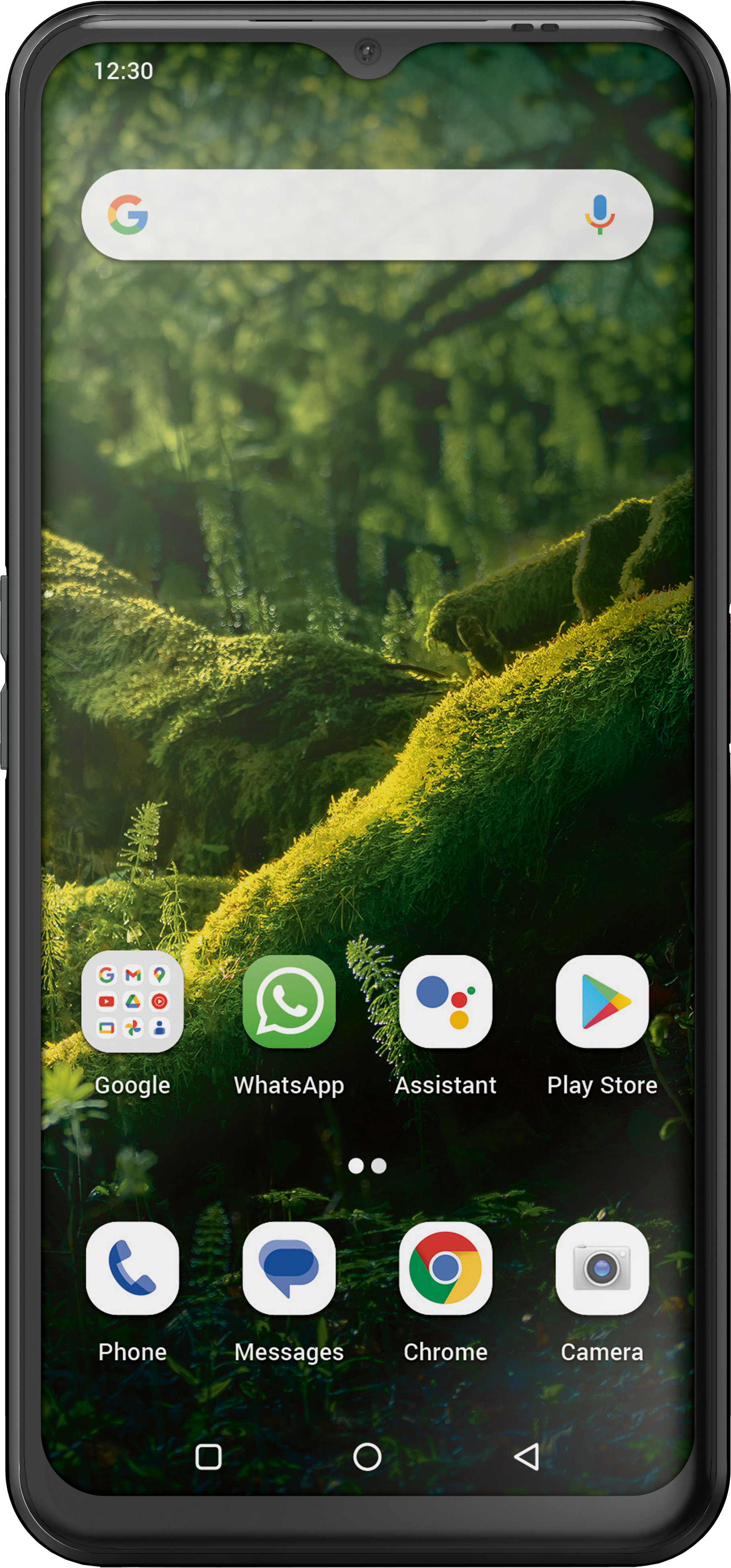 Smartphone mit Waldbildschirm, App-Icons: Google, WhatsApp und andere.
