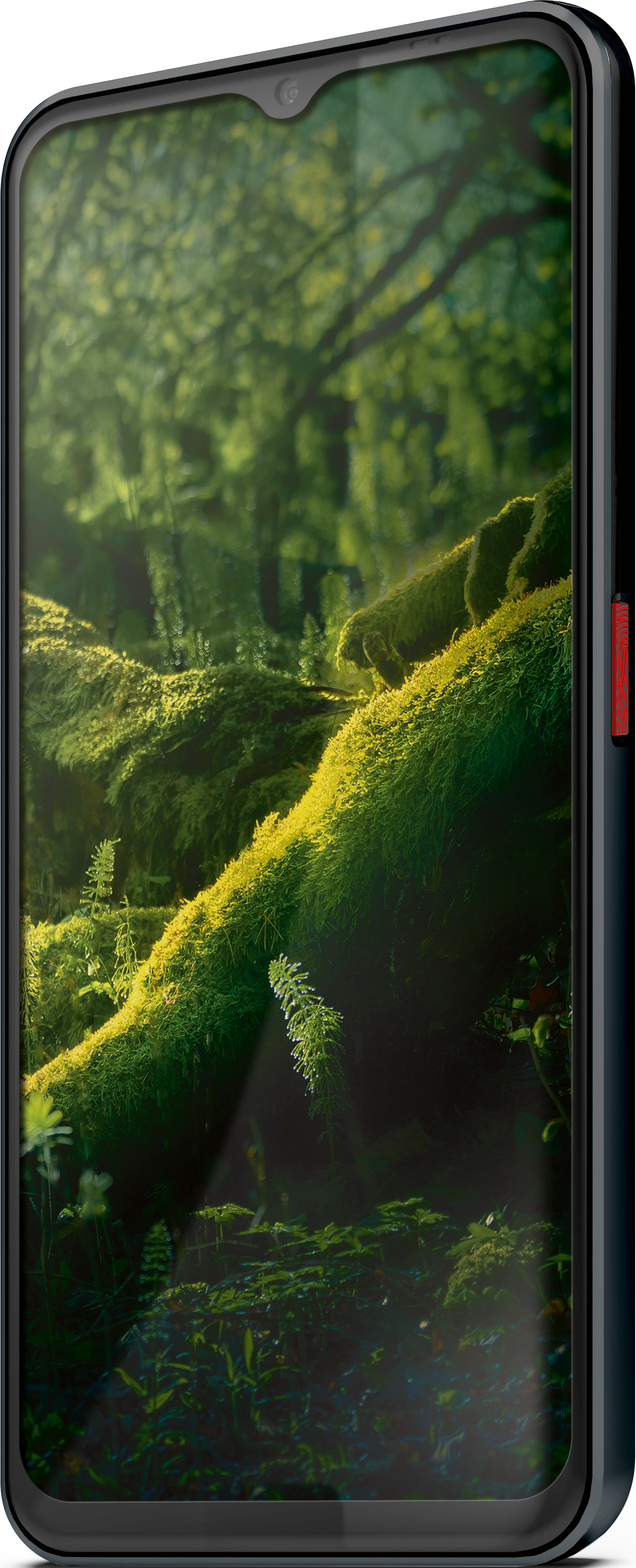 Ein schwarzes Smartphone mit einem Display, das eine grüne Waldszene zeigt.