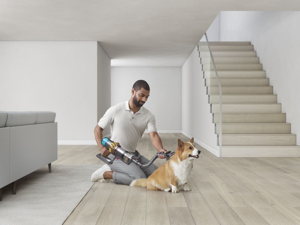Un hombre aspirando a un corgi. El hombre está arrodillado en un piso de madera, escalera al fondo.