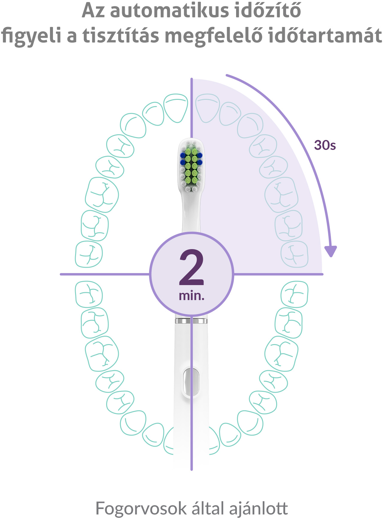Fogak diagramja fogkefével, amely a fogmosási időt szemlélteti.
