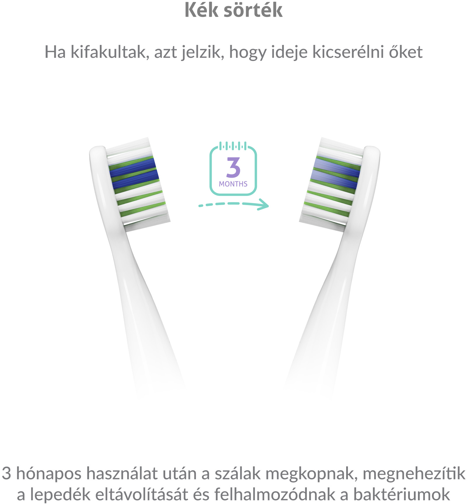 Két fogkefefej zöld és kék sörtékkel, és egy nyíl, ami 3 hónapra mutat.