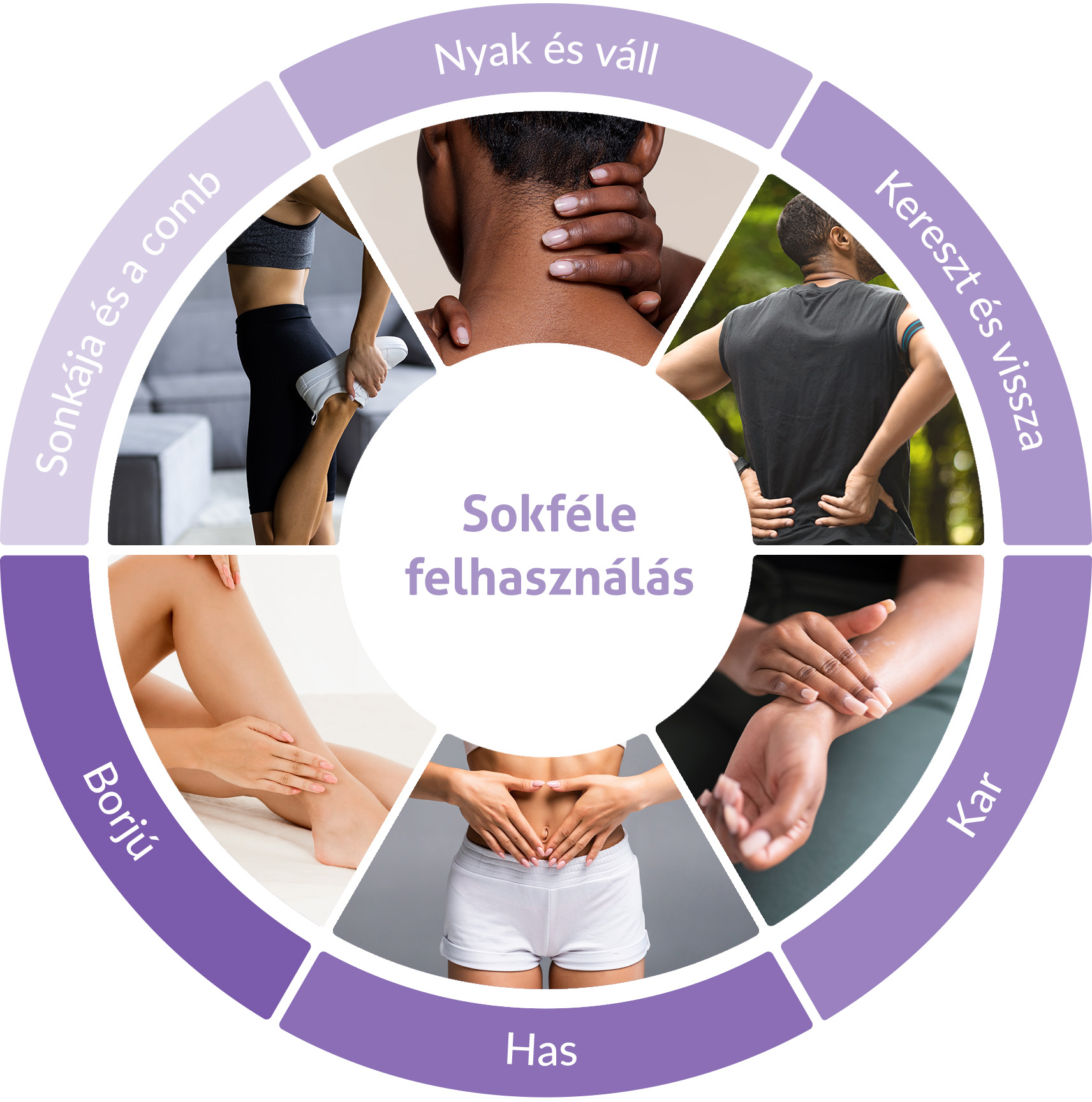 Egy kördiagram különböző testrészeket és felhasználásukat mutatja.