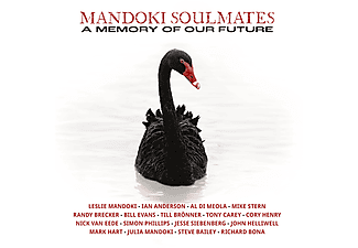 Mandoki Soulmates - A Memory Of Our Future (Limited Edition) (Vinyl LP (nagylemez))