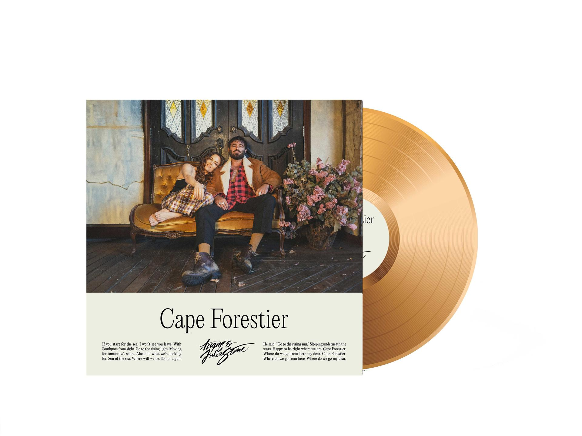 Albumcover und eine goldene Schallplatte auf einer weißen Oberfläche.