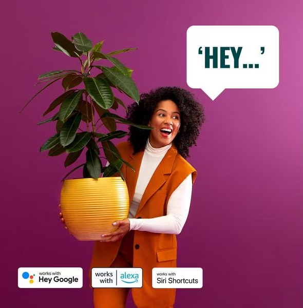Donna che tiene un vaso giallo con una pianta, fumetto che dice, 'Hey...'