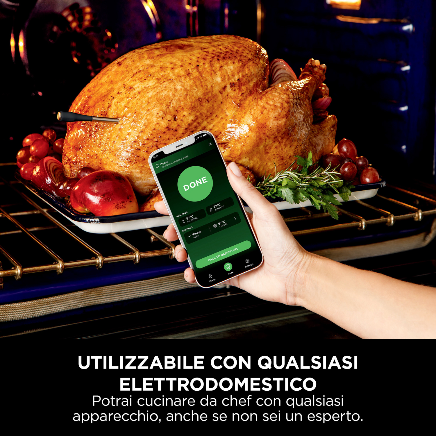 Persona che tiene in mano un telefono sopra un tacchino arrosto. Il telefono mostra 'FATTO'. Forno da cucina con interno blu.