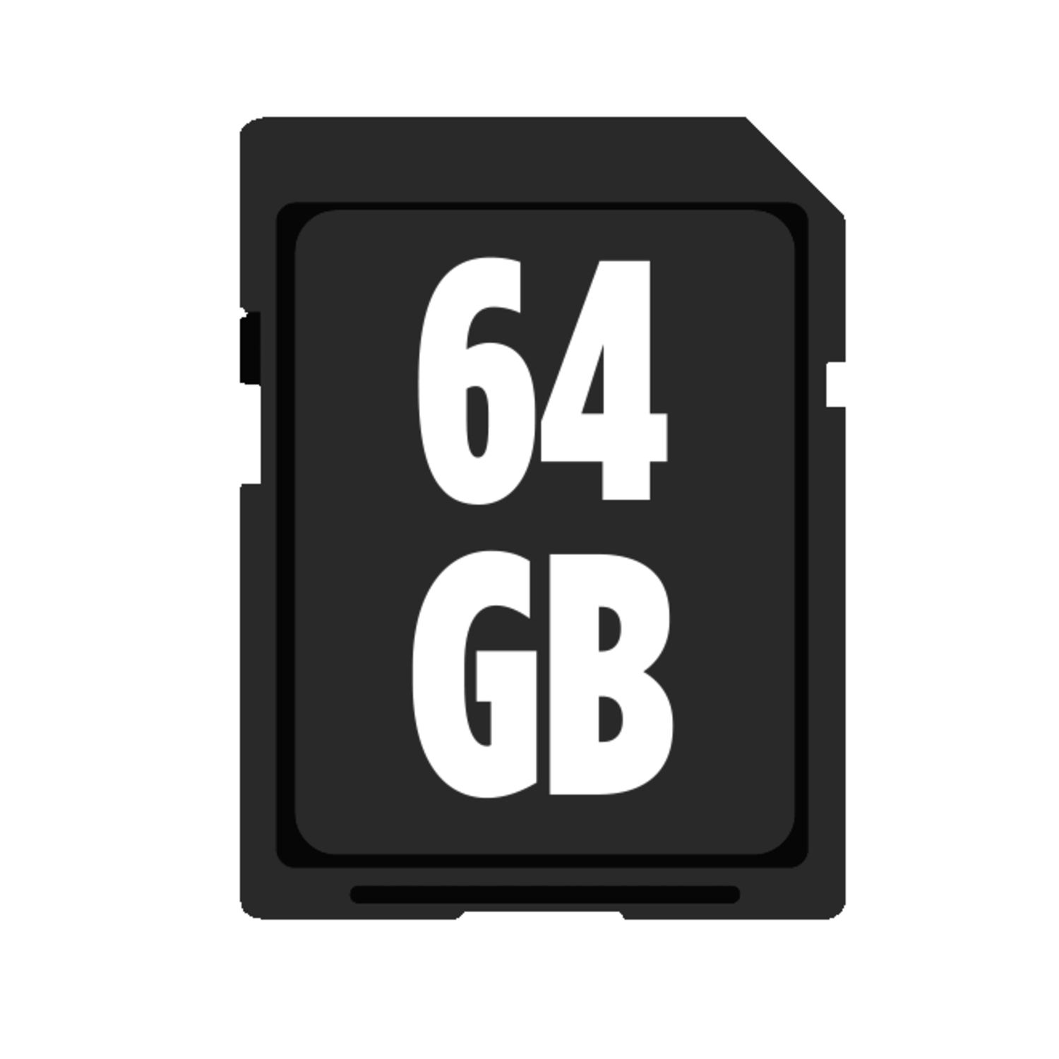 A black SD card with white '64 GB' text on it, set against a white background.