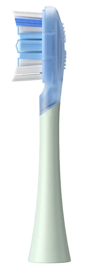 Zbliżenie główki szczoteczki do zębów, niebieskie i białe włosie, jasny zielony uchwyt.
