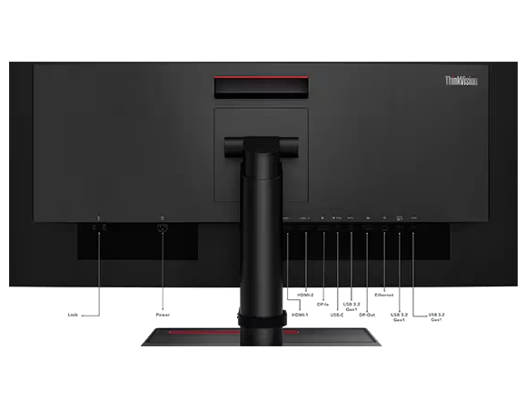 Parte trasera de un monitor negro con puertos. Logotipo ThinkVision arriba a la derecha. Puertos etiquetados.