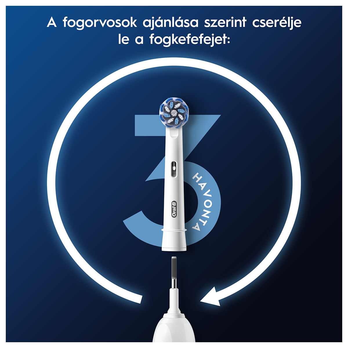 Fehér fogkefe fej kék és fehér sörtékkel. 3 havonta cserélendő.
