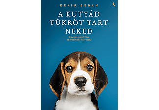 Kevin Behan - A kutyád tükröt tart neked