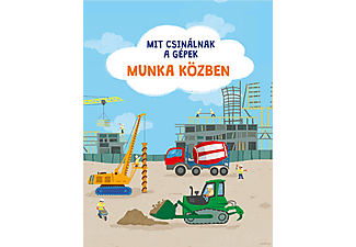 Pannon-Literatúra Kft. - Mit csinálnak a gépek: munka közben