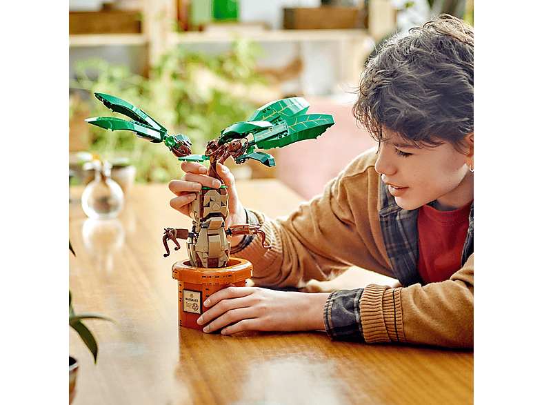 Thumbnail - LEGO Harry Potter 76433 Zaubertrankpflanze: Alraune Bausatz, Mehrfarbig