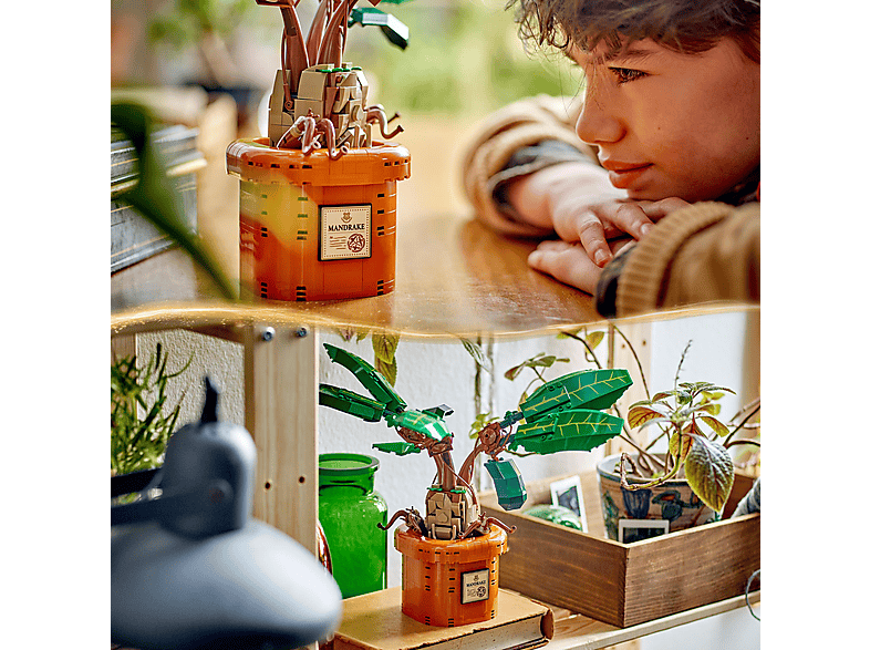 Thumbnail - LEGO Harry Potter 76433 Zaubertrankpflanze: Alraune Bausatz, Mehrfarbig