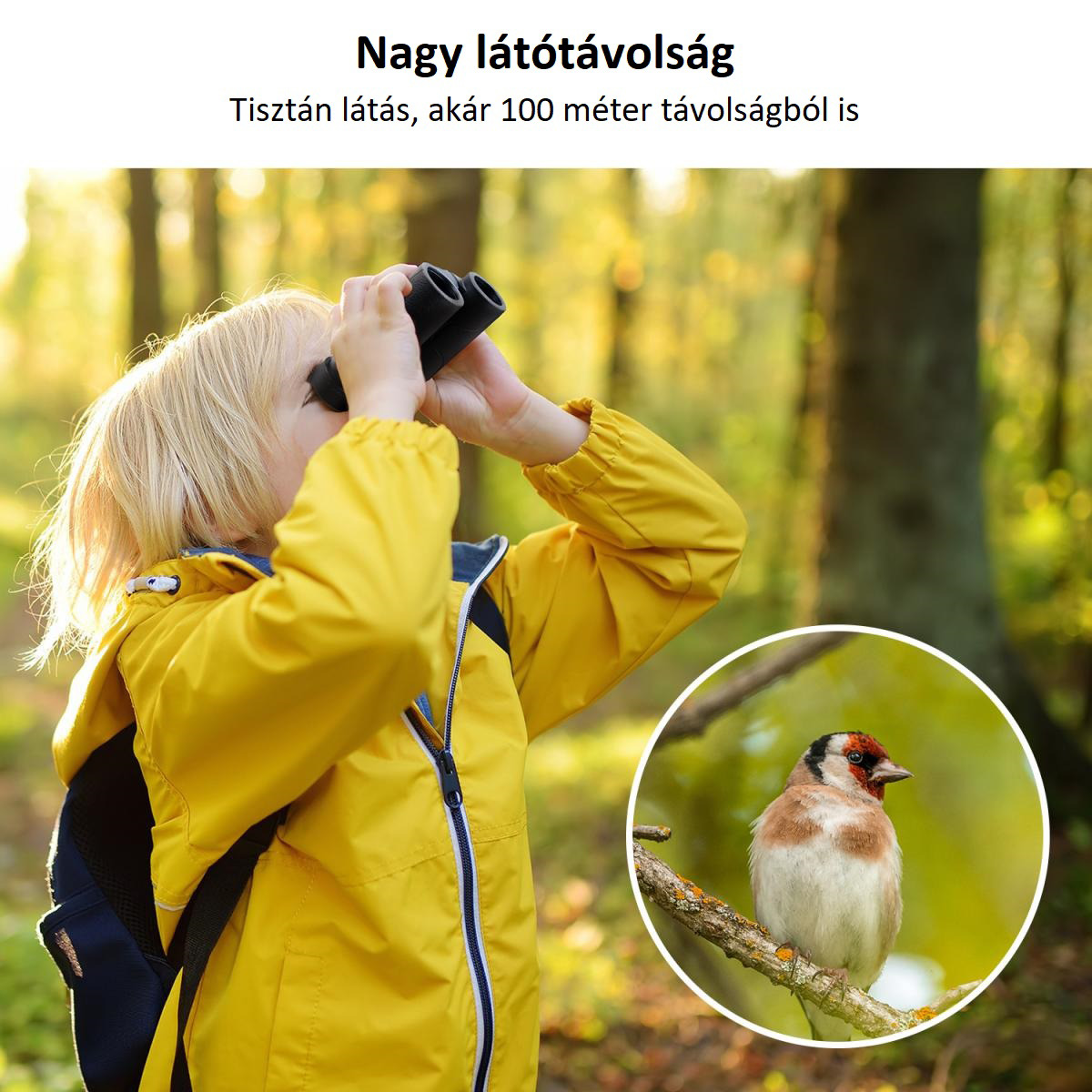 Gyermek távcsővel néz, madár a fókuszban egy kör alakú betétben. Erdő a háttérben.