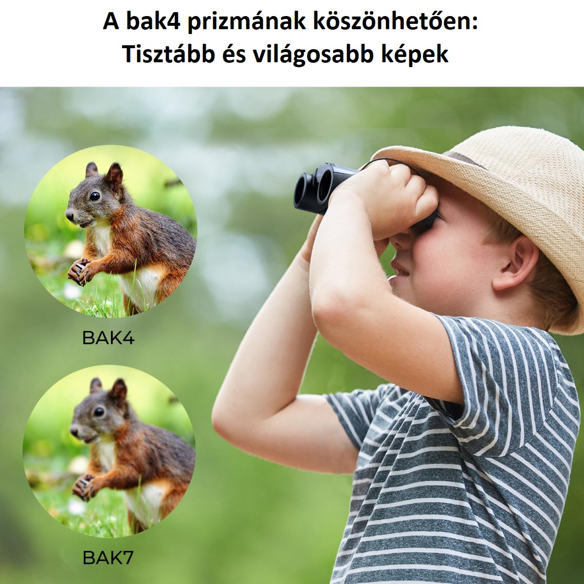 Egy gyerek távcsővel néz, a háttérben mókusokkal.