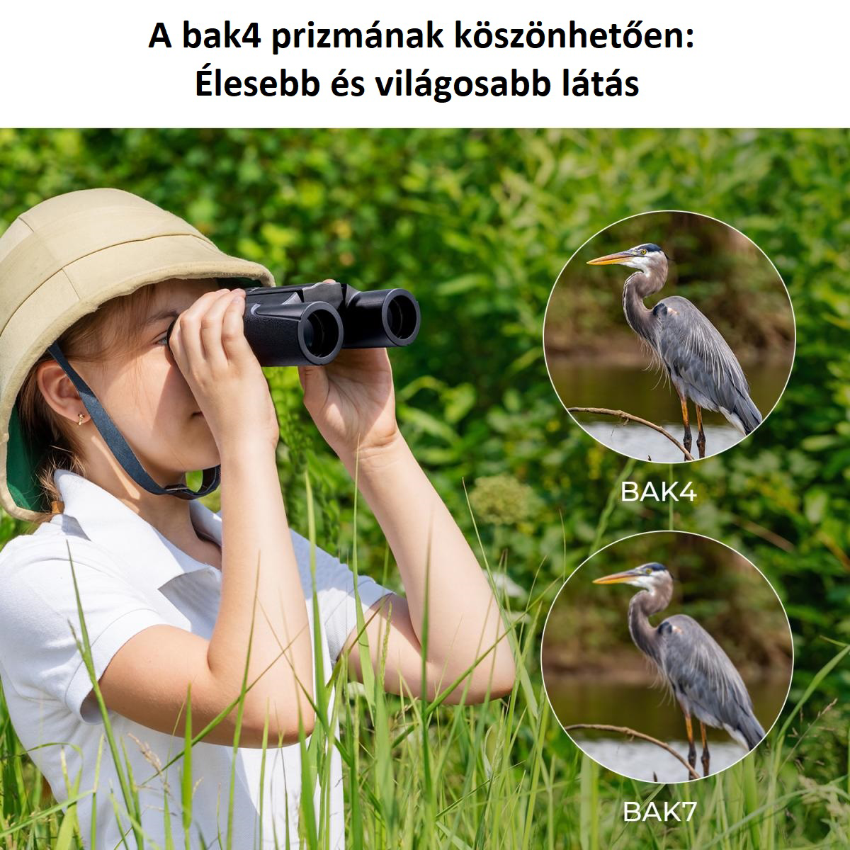 Lány binokulárral madarakat néz. Szöveg: Élesebb és világosabb látás. Zöld háttér.